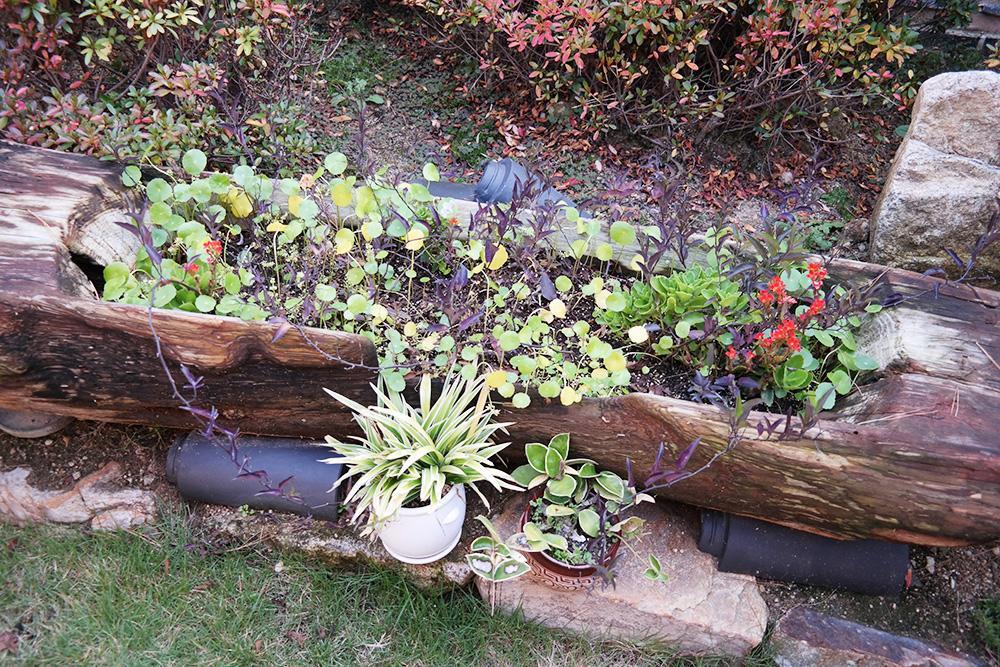 Yeonwoodang Guesthouse Jeonju Exteriör bild